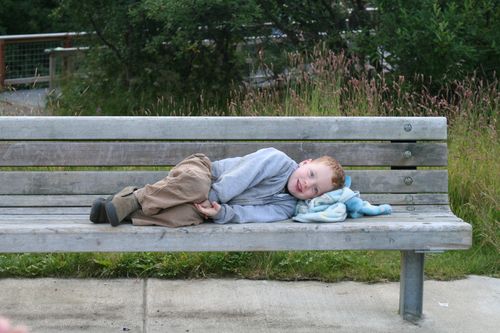 Checking out the bears aug 2007 (72) Checking out the bears aug 2007 (72)