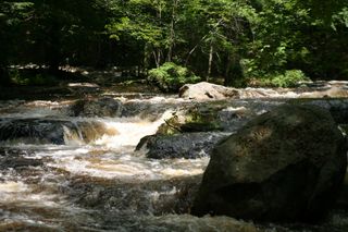 4th of July parade 2009 (4)