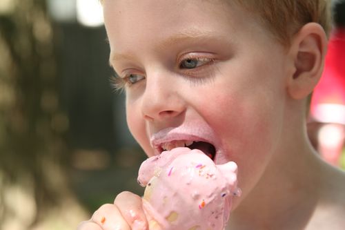 4th of July parade 2009 (127)